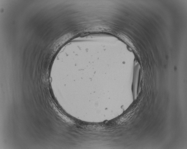 X0000062130389200601060903