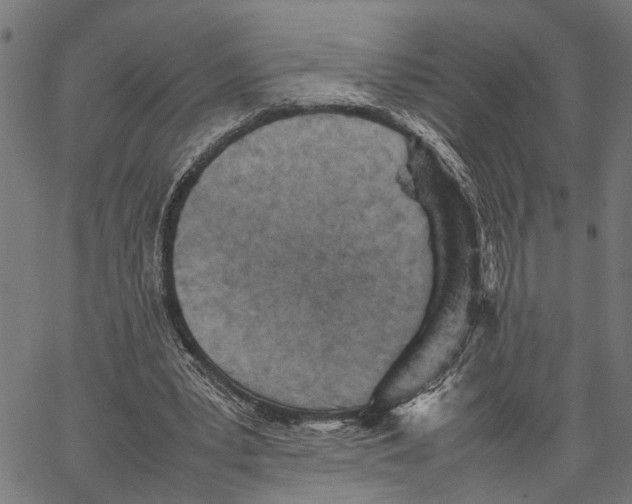 X0000062130391200601060903