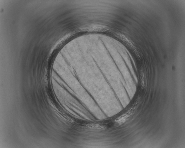 X0000062130392200601060903