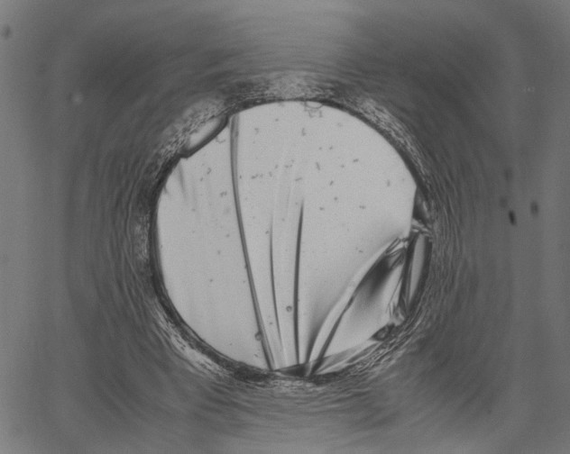 X0000062130393200601060903