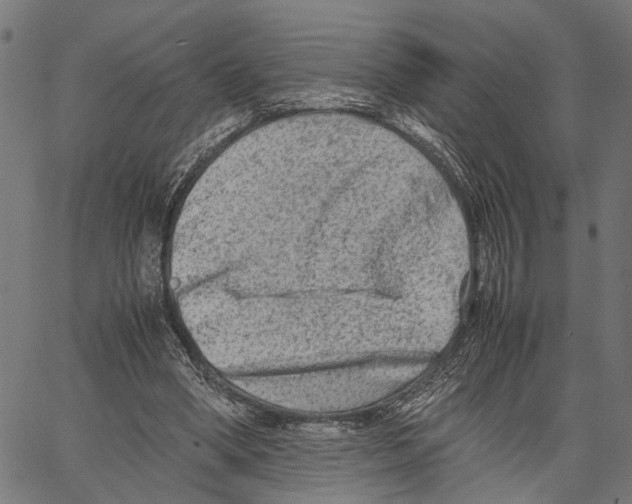 X0000062130394200601060903