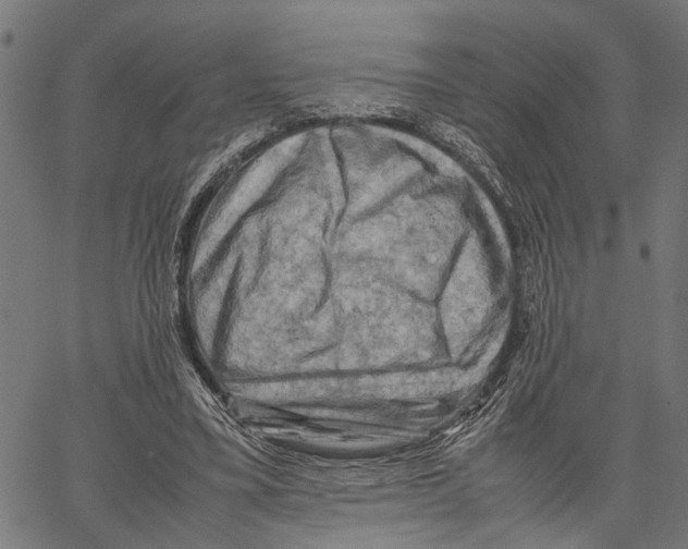 X0000062130395200601060903