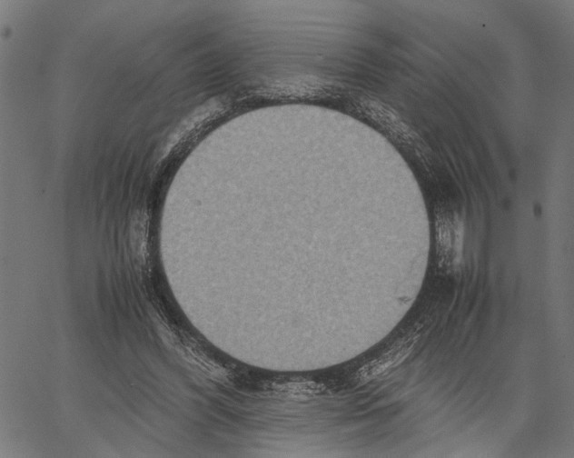 X0000062130396200601060903