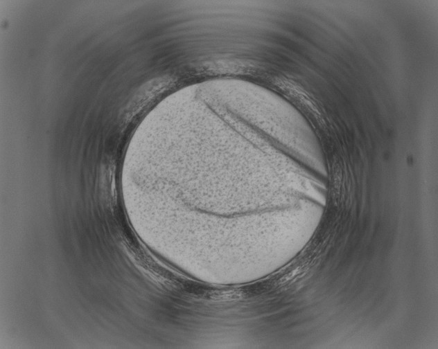 X0000062130398200601060903