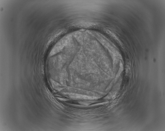 X0000062130399200601060903