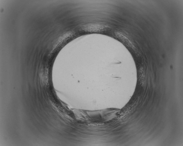 X0000062130400200601060903