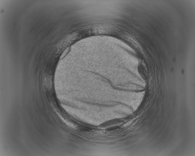 X0000062130401200601060903