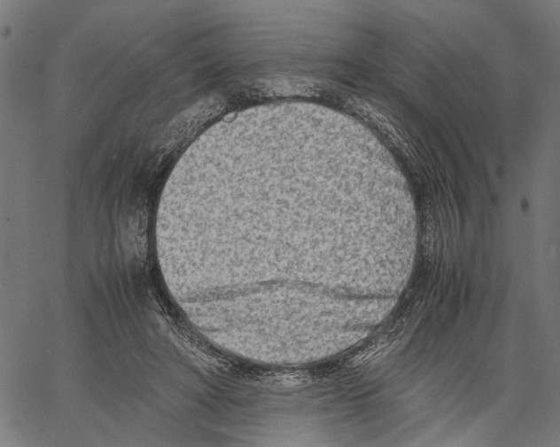 X0000062130402200601060903