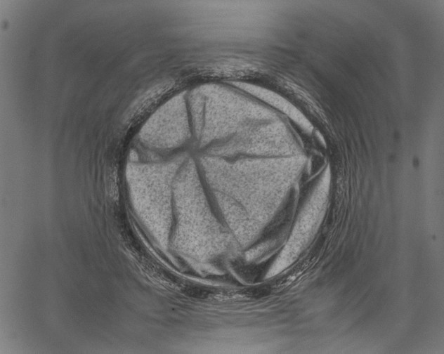 X0000062130403200601060902