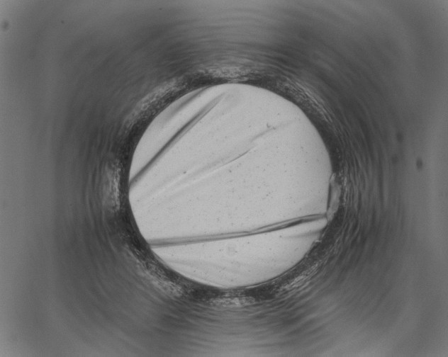 X0000062130404200601060902