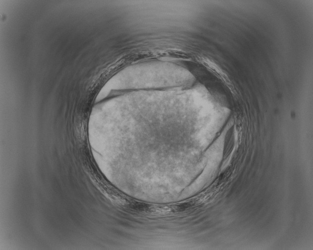 X0000062130405200601060902