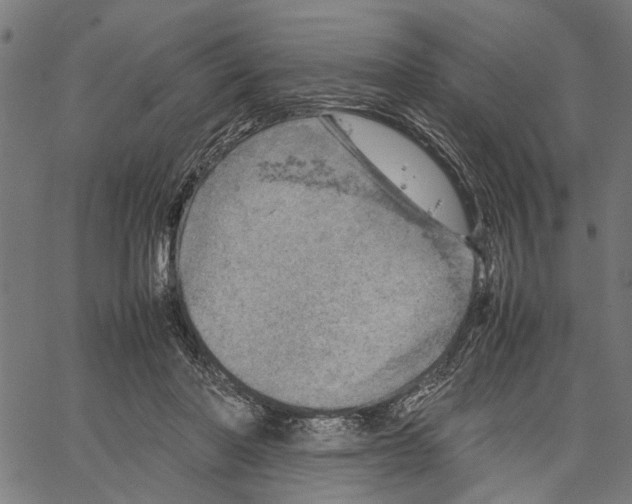 X0000062130406200601060902