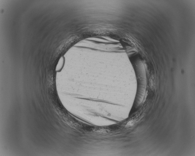 X0000062130407200601060902