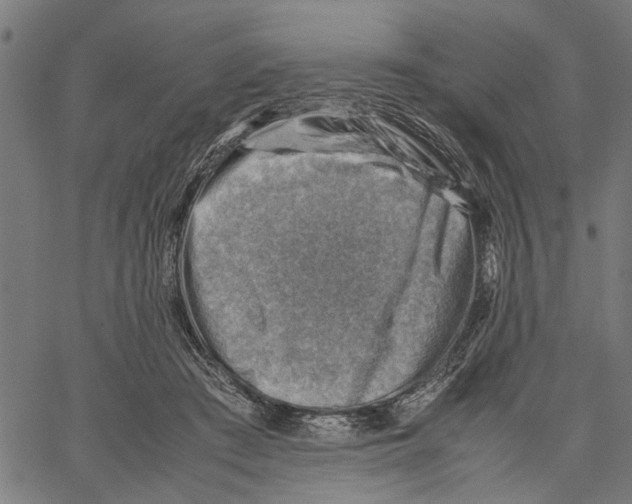 X0000062130409200601060902