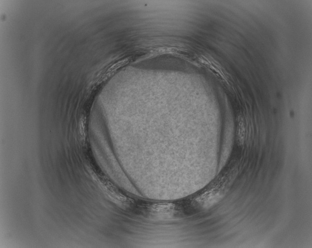 X0000062130410200601060902