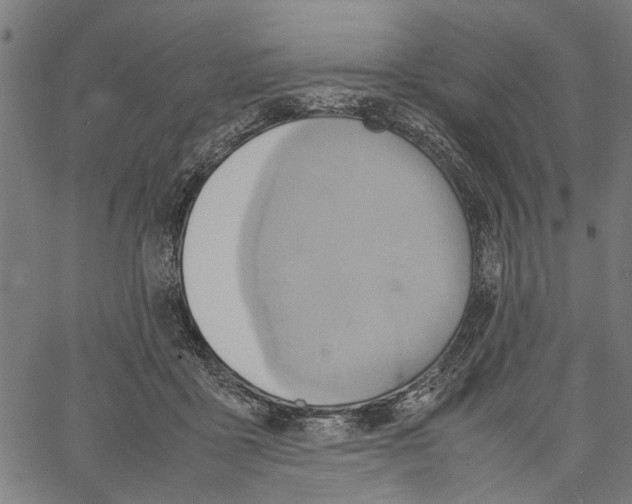 X0000062130411200601060902