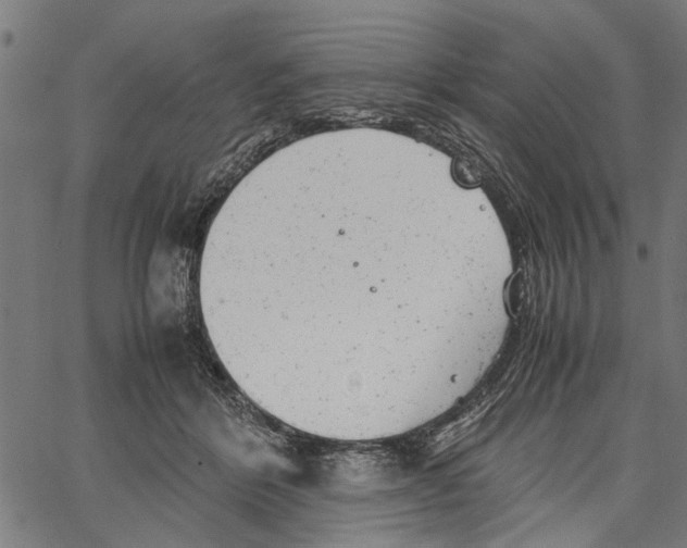 X0000062130412200601060902