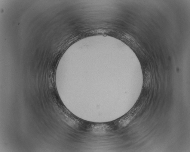 X0000062130414200601060902