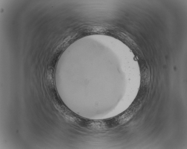 X0000062130415200601060902