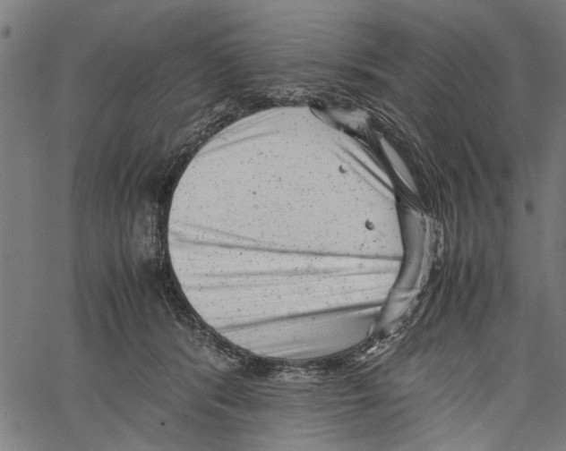 X0000062130416200601060902