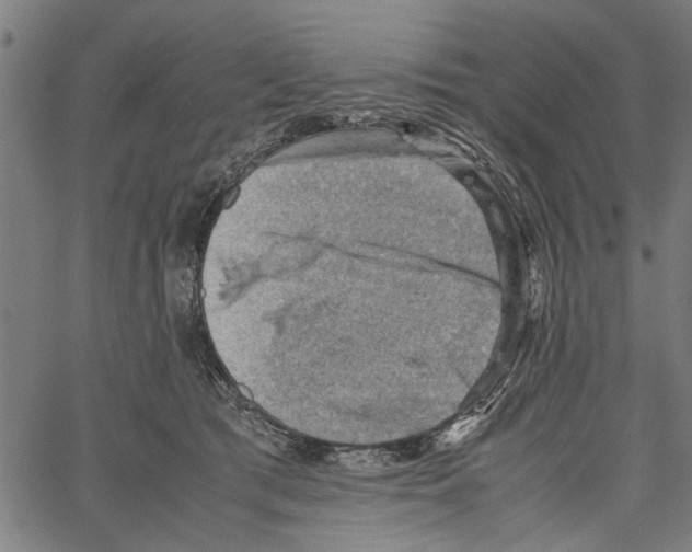 X0000062130417200601060902