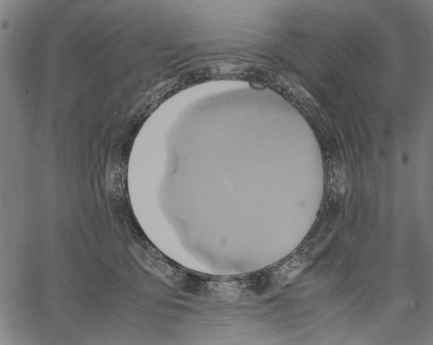 X0000062130419200601060902