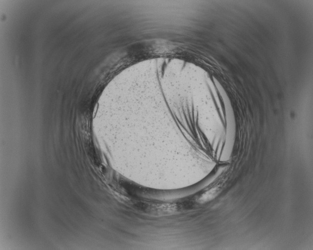 X0000062130421200601060902