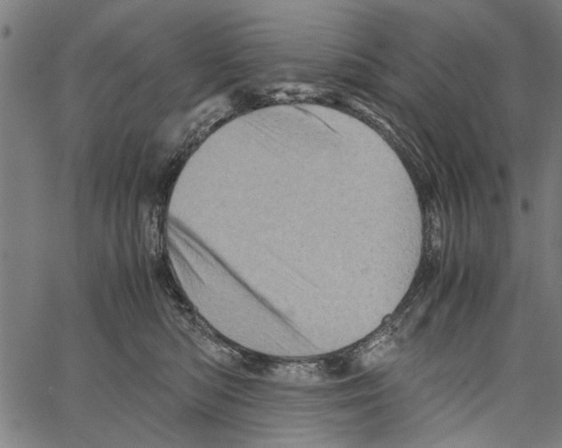 X0000062130422200601060902