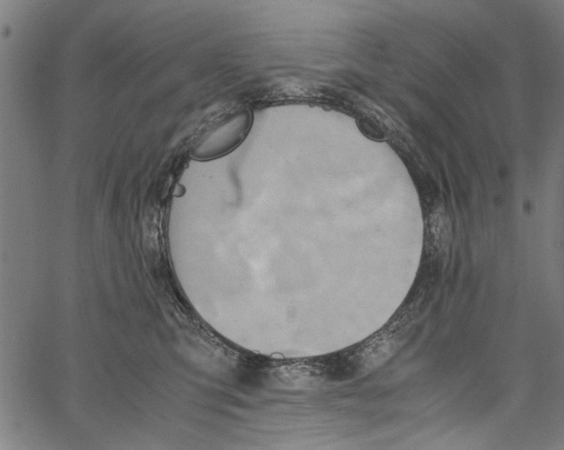 X0000062130423200601060902