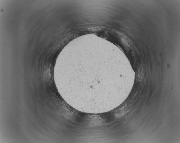 X0000062130424200601060902