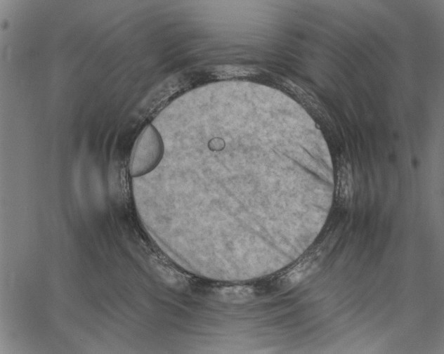 X0000062130426200601060902