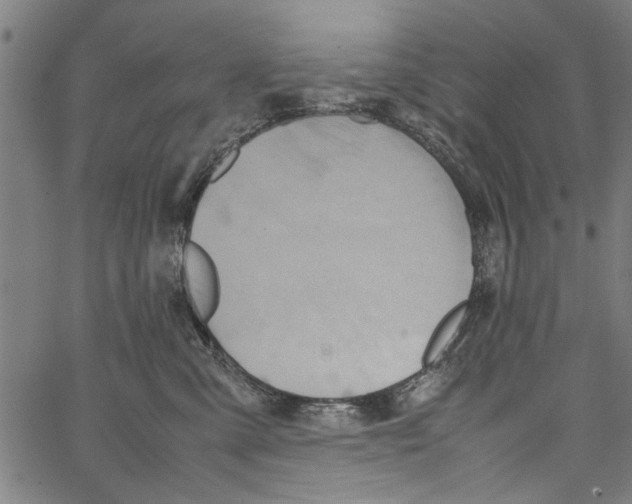 X0000062130427200601060902