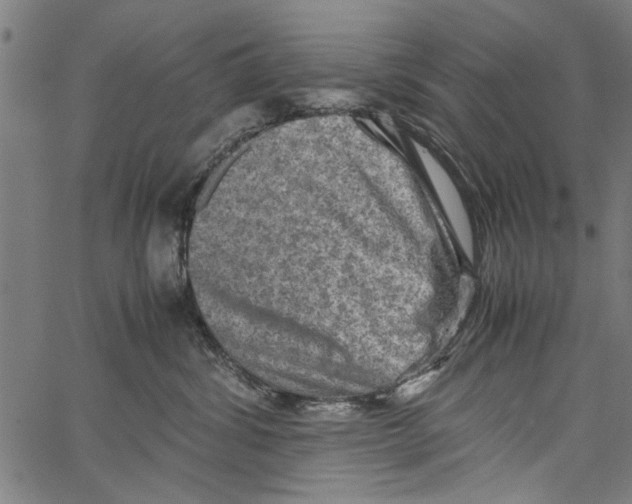 X0000062130428200601060902