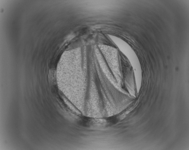 X0000062130429200601060902