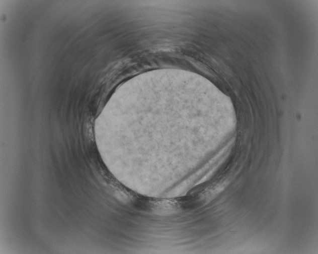 X0000062130432200601060902