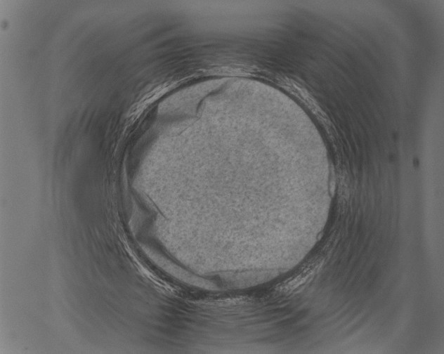 X0000062130433200601060901