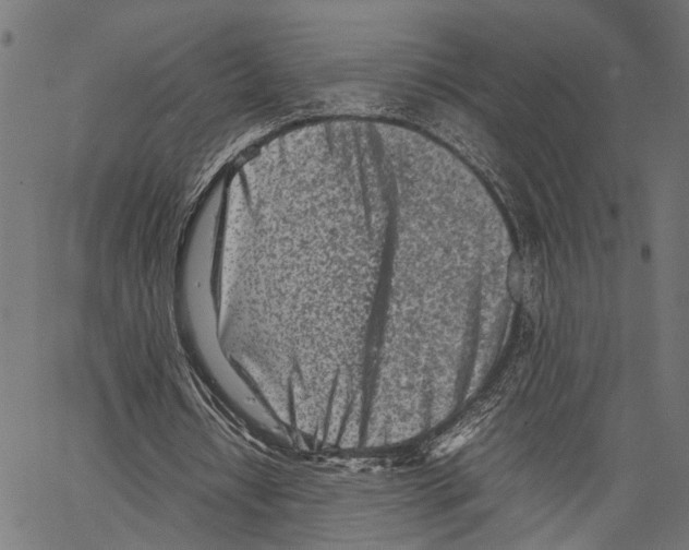 X0000062130434200601060901