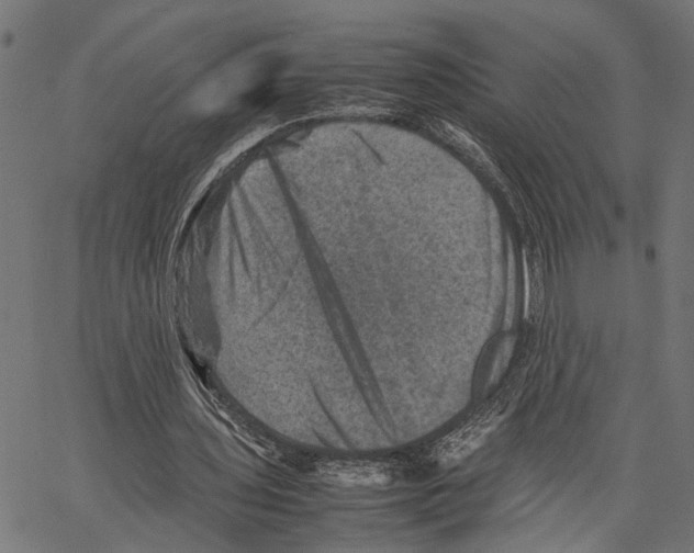 X0000062130435200601060901