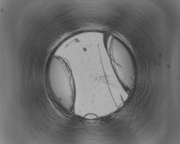 X0000062130436200601060901