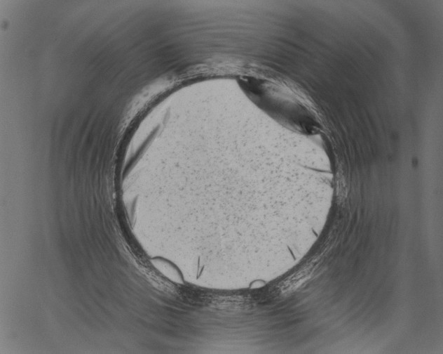 X0000062130438200601060901