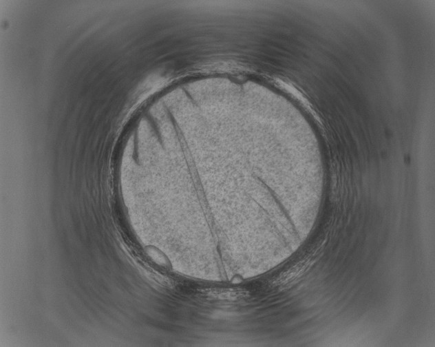 X0000062130439200601060901