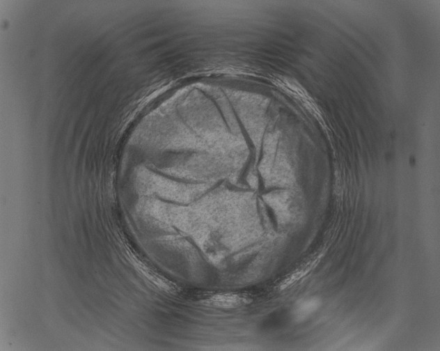 X0000062130441200601060901