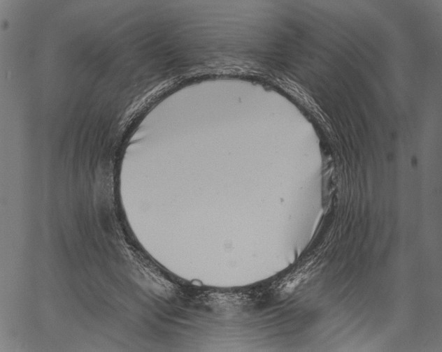 X0000062130442200601060901