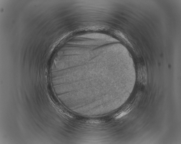 X0000062130444200601060901