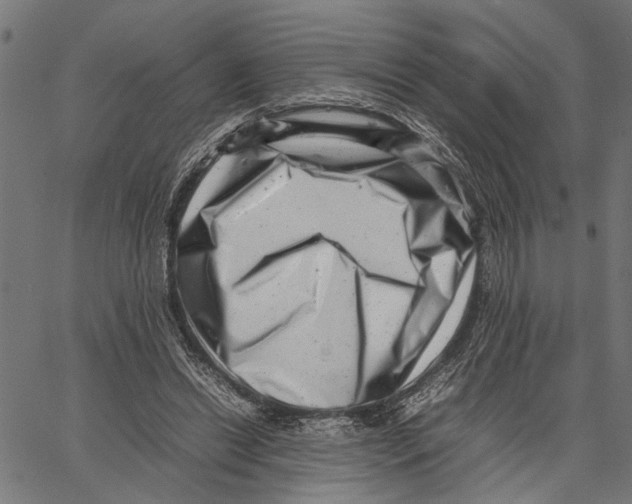 X0000062130446200601060901