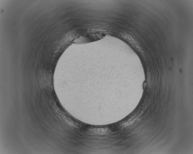 X0000062130449200601060901