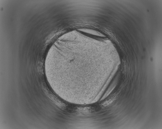 X0000062130450200601060901