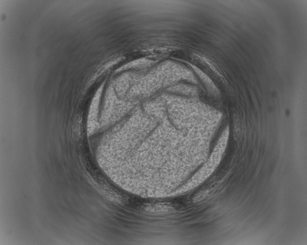 X0000062130451200601060902