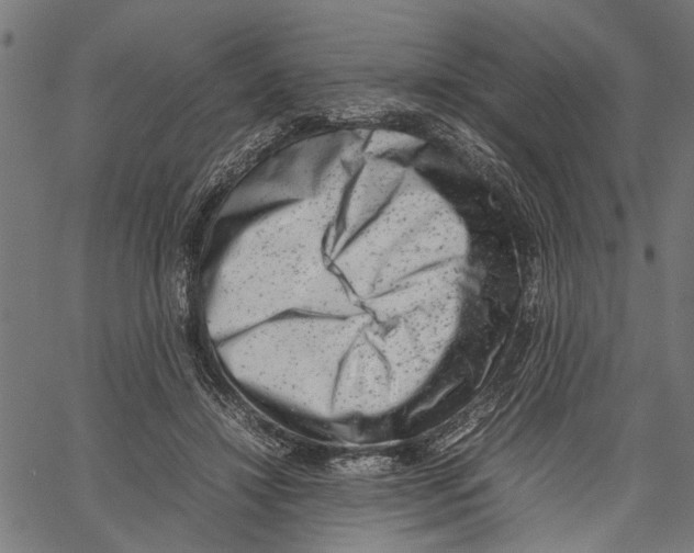 X0000062130452200601060902