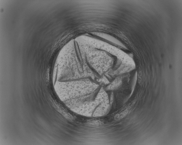 X0000062130454200601060902